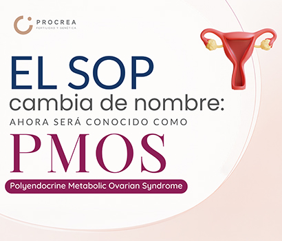 Artículo sobre ¿Es posible elegir el sexo del bebé?